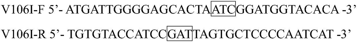 Kidney bean epoxide hydrolase mutant with improved catalytic activity