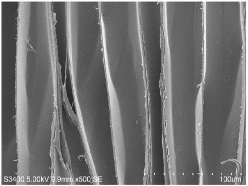 A preparation method of a porous wood carbon modified metal lithium anode material