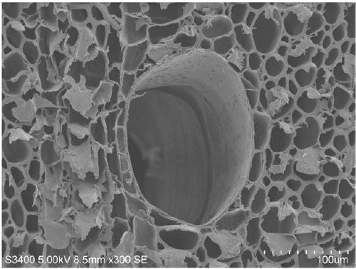 A preparation method of a porous wood carbon modified metal lithium anode material