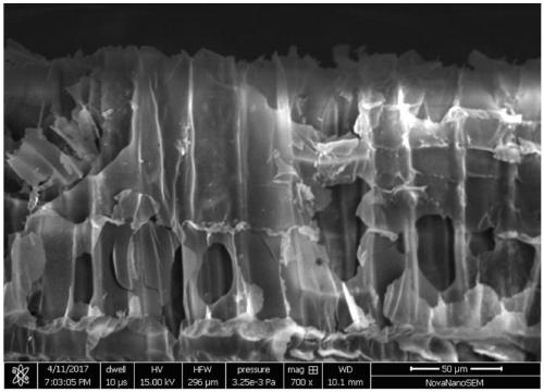 A preparation method of a porous wood carbon modified metal lithium anode material