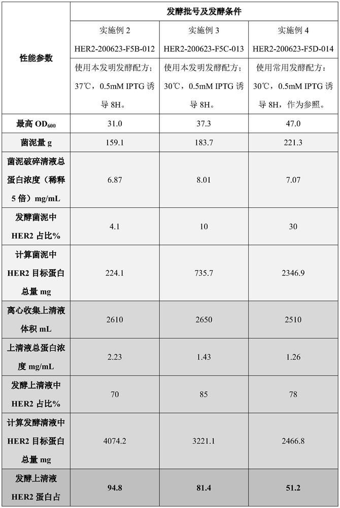 Fermentation medium and fermentation process for promoting secretory expression of HER2 affinity protein