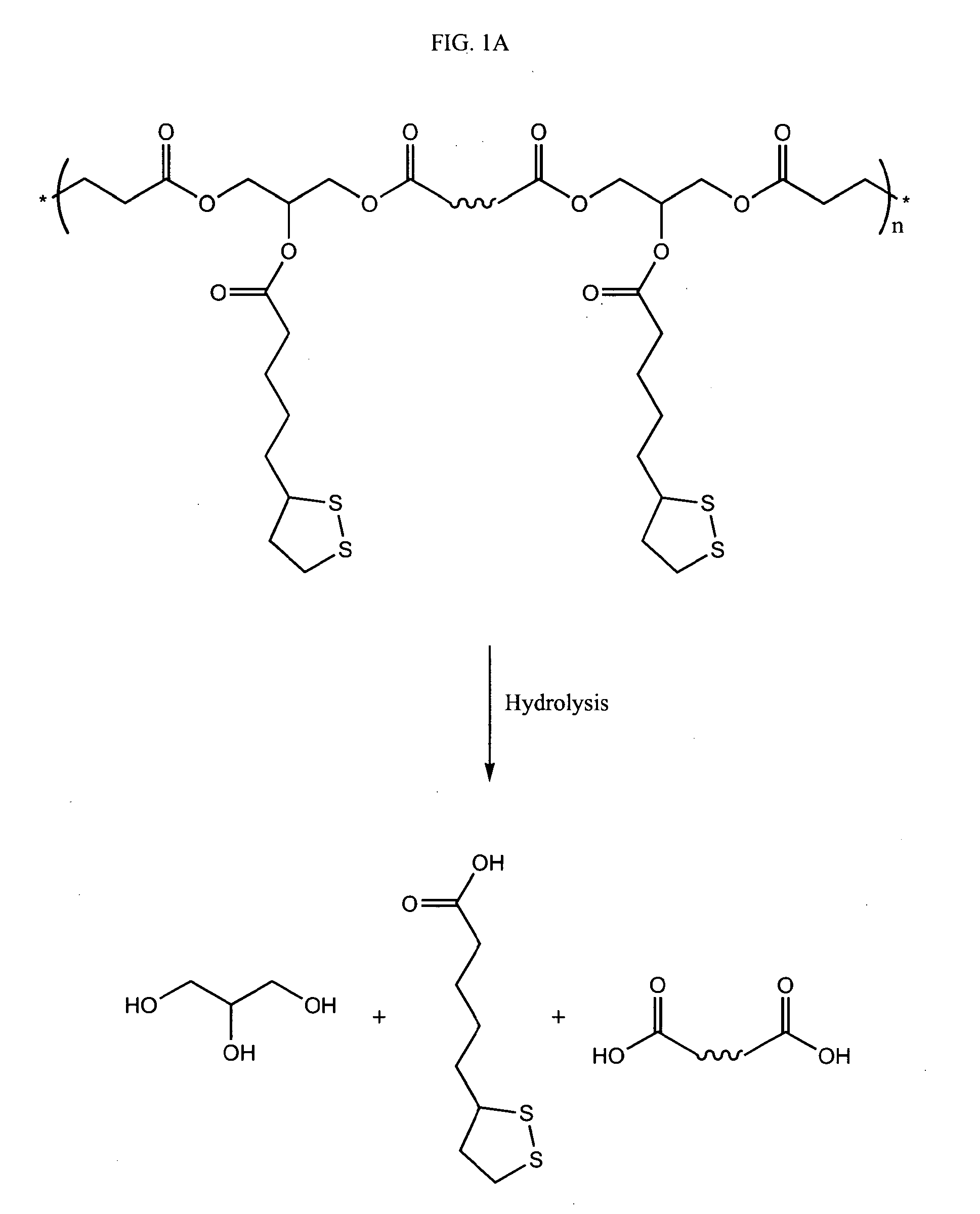 Antioxidant polymers containing [1,2]-dithiolane moieties and uses thereof