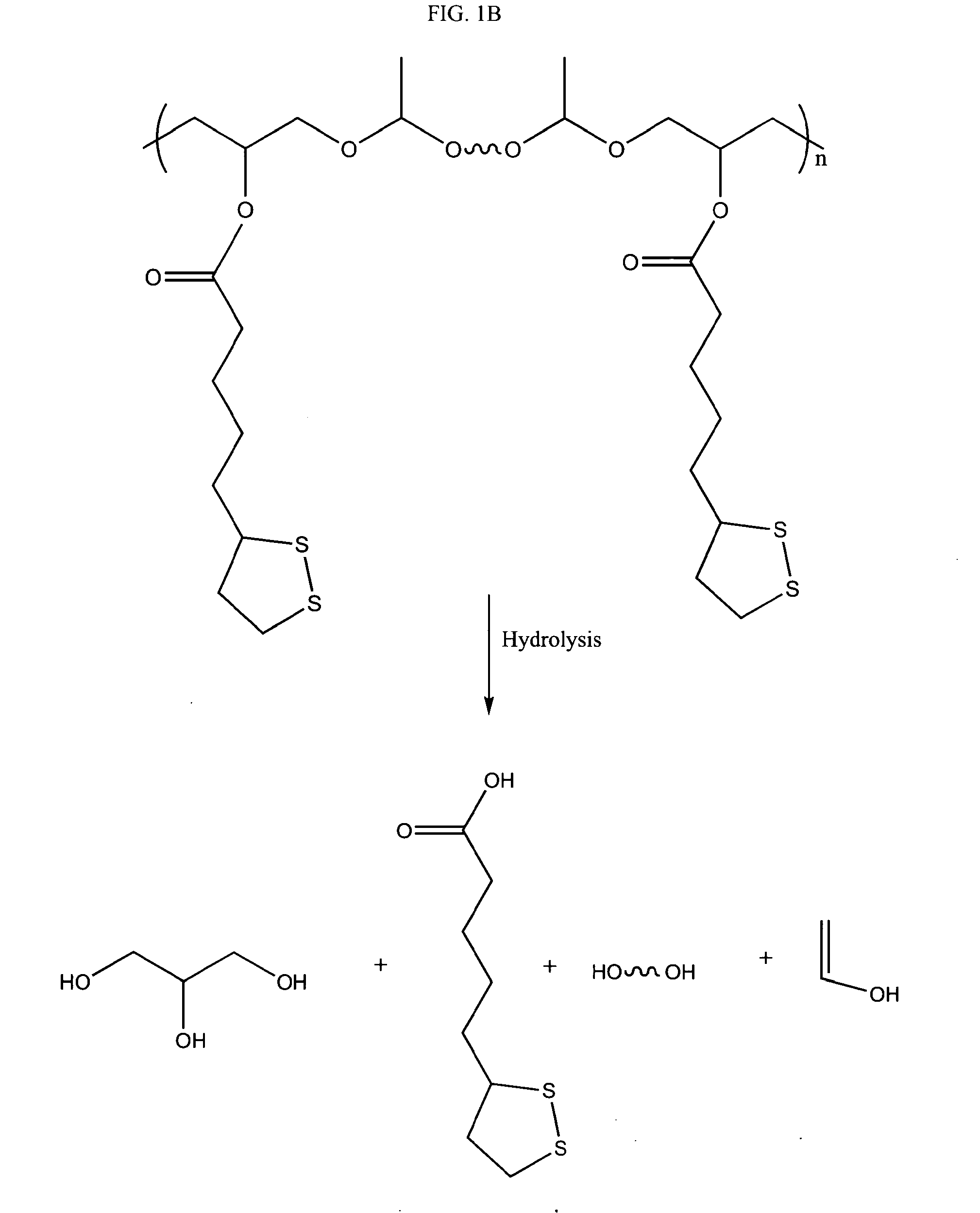 Antioxidant polymers containing [1,2]-dithiolane moieties and uses thereof