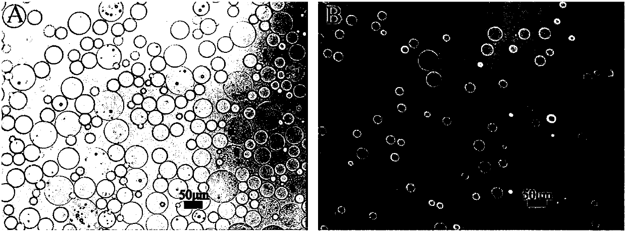 High-throughput microorganism isolation culture method