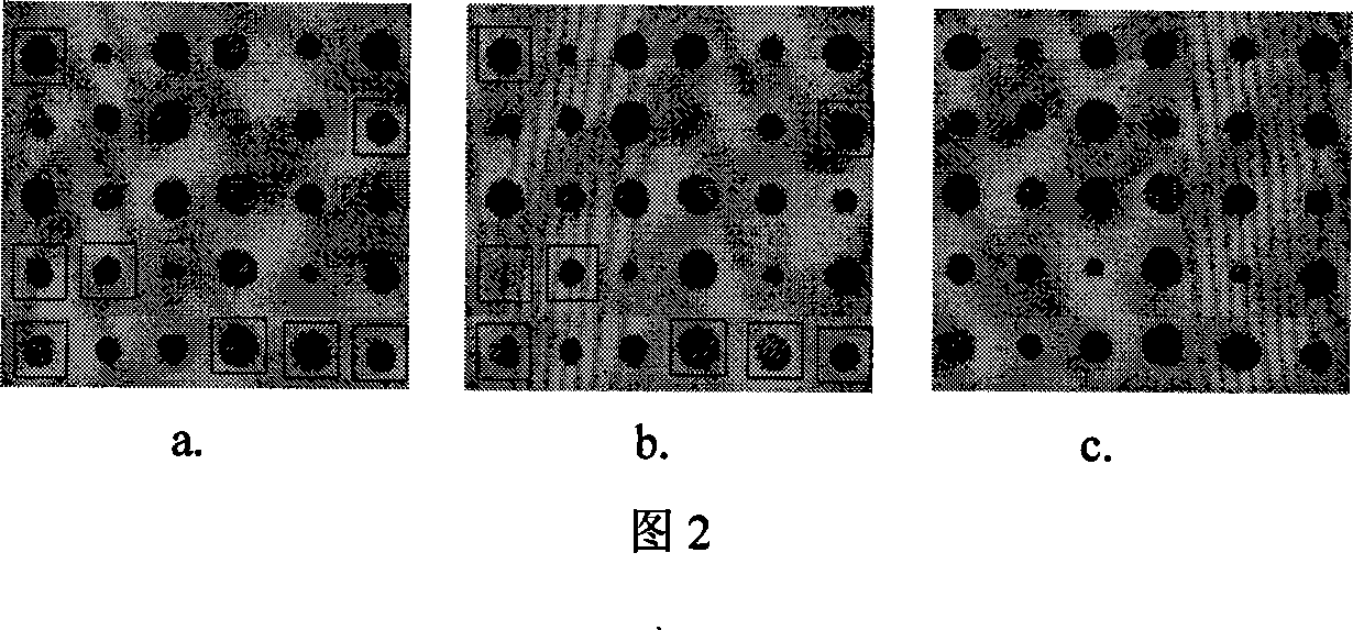 Production of color-sensitive gas sensor array