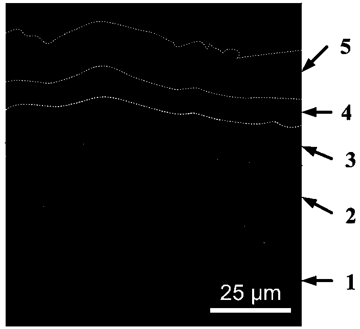 High-temperature antioxidant multi-layer composite coating on surface of carbon-based material and preparation method of coating