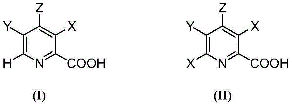 Selective electrochemical reduction method of halogenated picolinic acid or salt compounds of halogenated picolinic acid