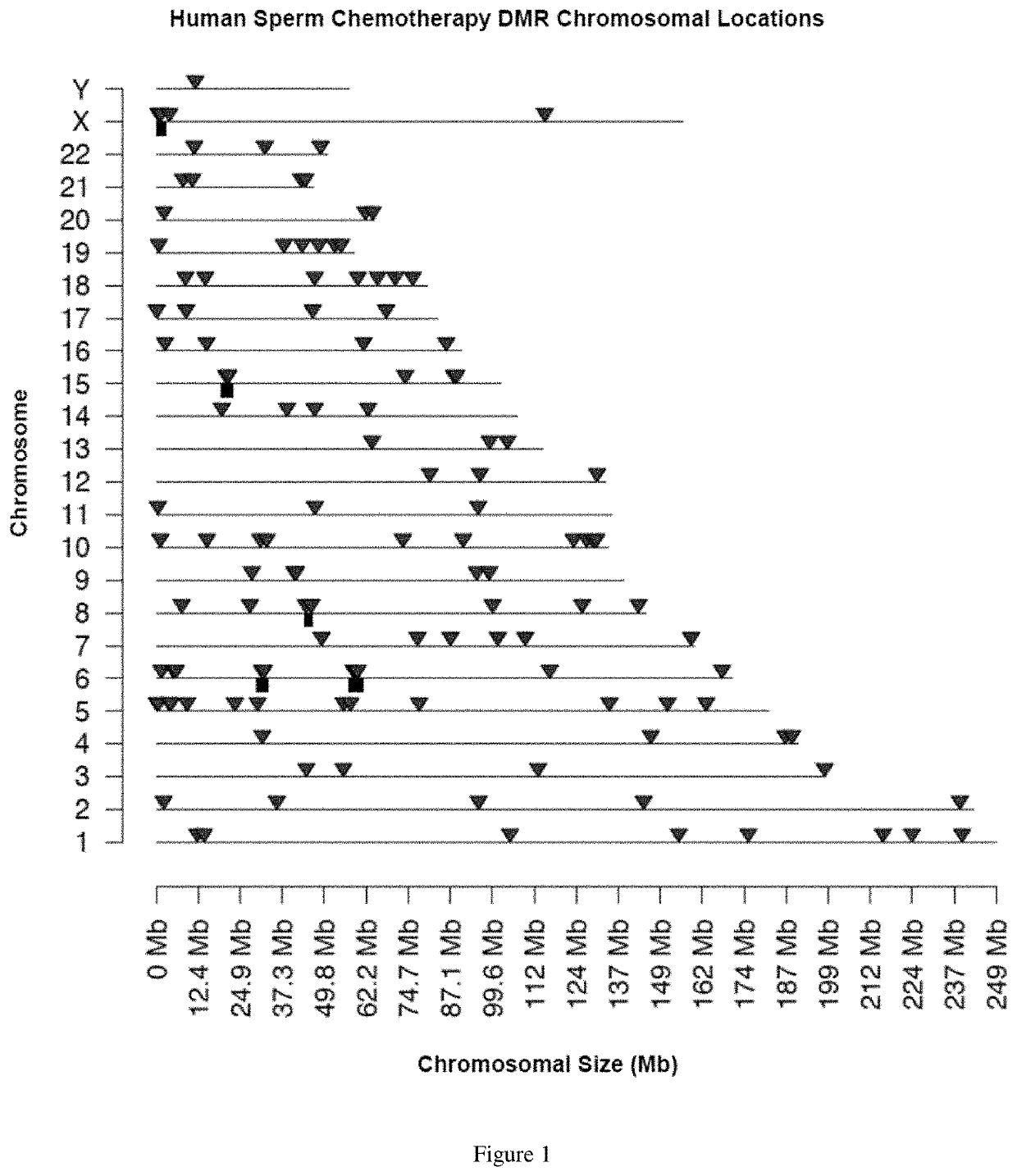 Heritable epigenetic modifications as markers of chemotherapy exposure