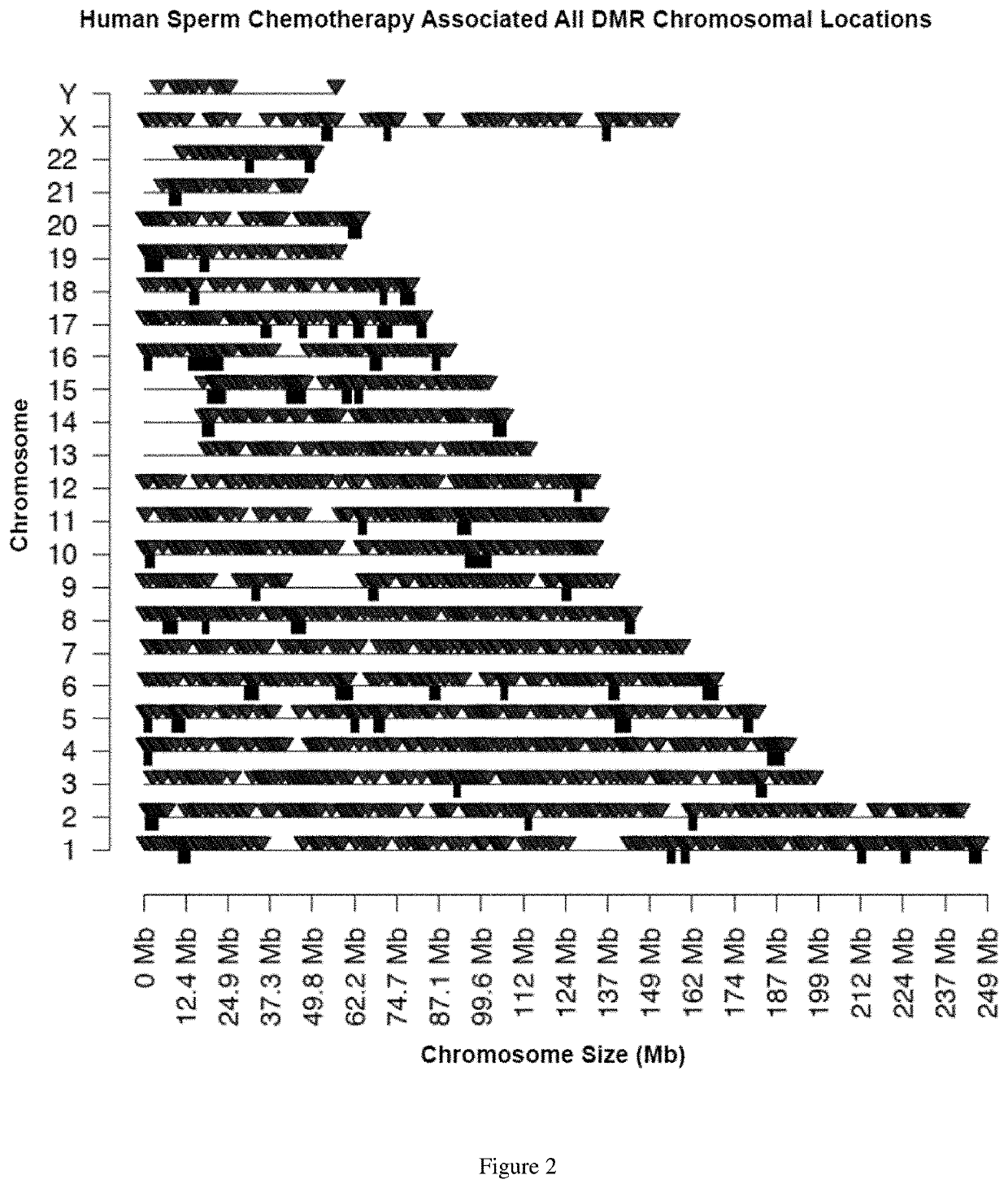 Heritable epigenetic modifications as markers of chemotherapy exposure