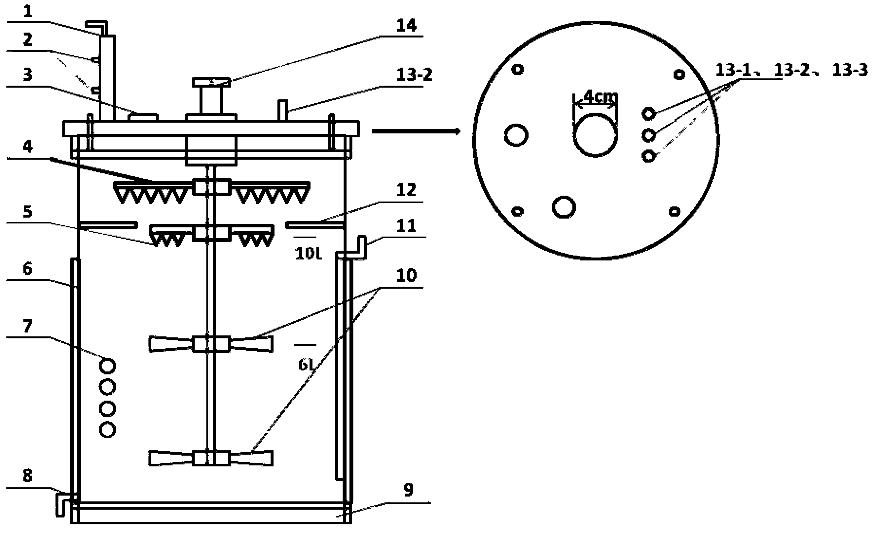 Method for producing rhamnolipid by virtue of fermentation and separation of pseudomonas aeruginosa