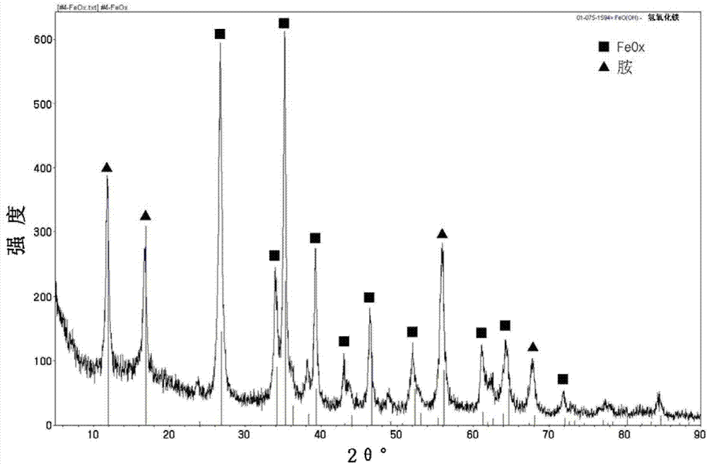 Amine functionalized mesoporous iron oxyhydroxide and method for fabricating the same