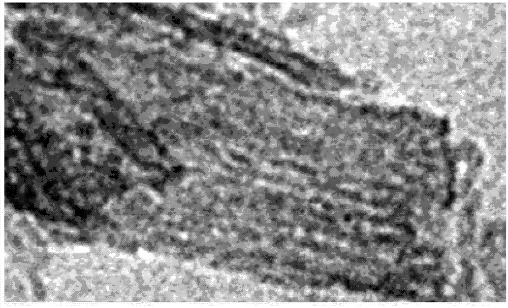 Amine functionalized mesoporous iron oxyhydroxide and method for fabricating the same