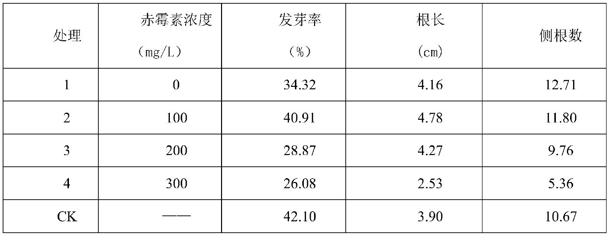 Propagation and breeding method of cherry seedlings suitable for being planted in Guangxi cold highland area