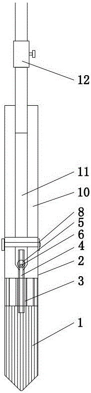 Automatic liquid supply brush