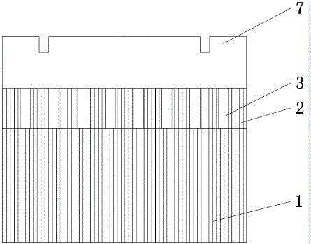 Automatic liquid supply brush