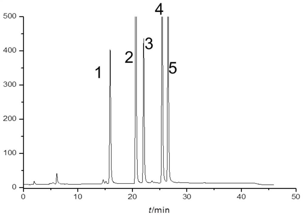 Tobramycin raw material and related preparation impurity spectrum analysis method