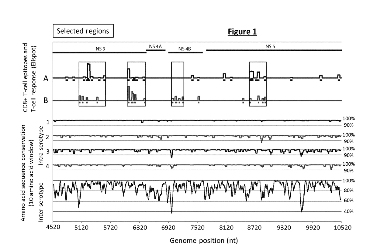 A dengue virus chimeric polyepitope composed of fragments of non-structural proteins and its use in an immunogenic composition against dengue virus infection