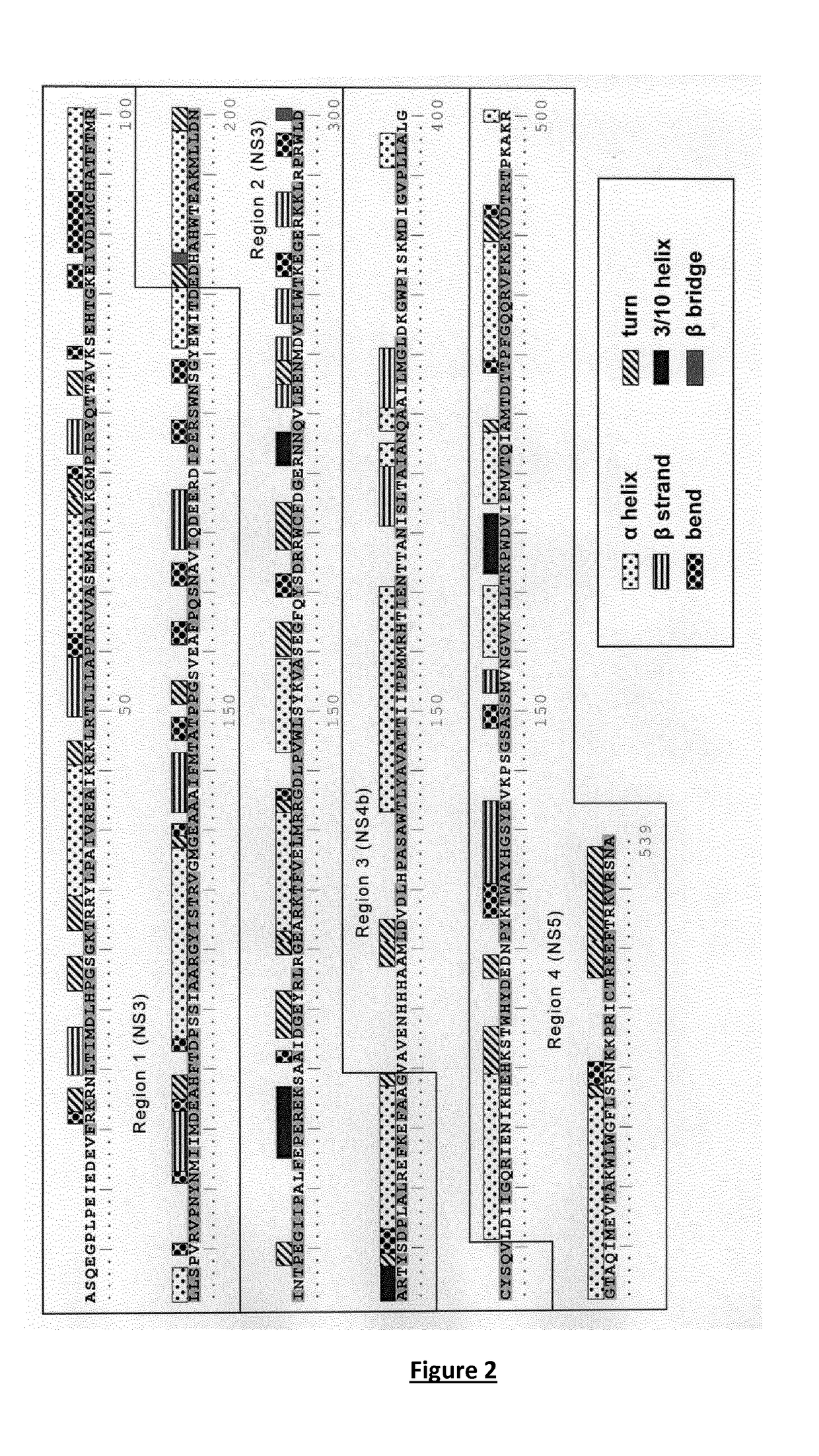 A dengue virus chimeric polyepitope composed of fragments of non-structural proteins and its use in an immunogenic composition against dengue virus infection