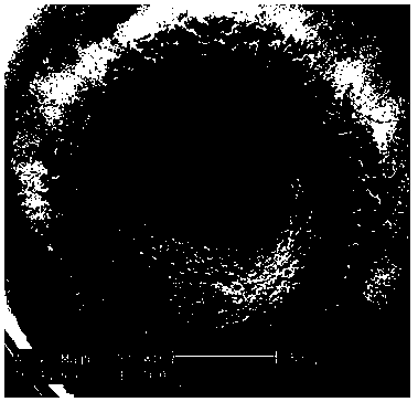 Preparation method of composite nanoparticle-reinforced silver-based electrical contact material