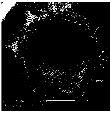 Preparation method of composite nanoparticle-reinforced silver-based electrical contact material