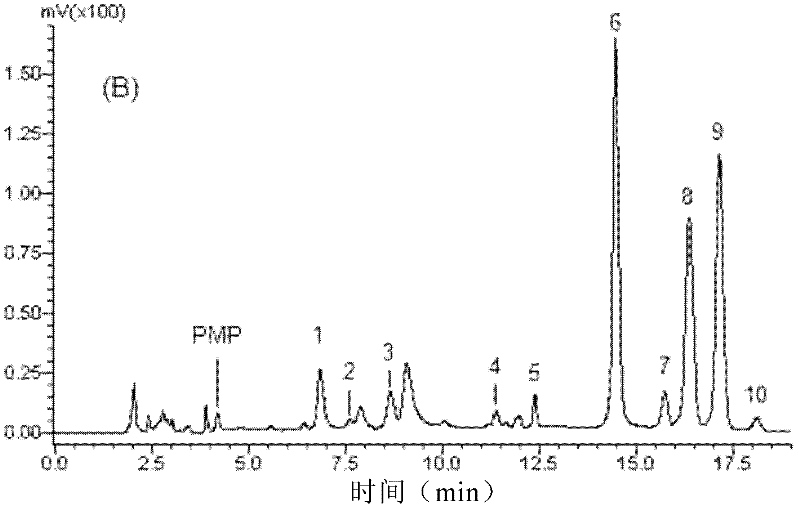 Ziyang selenium-rich green tea selenium-containing polysaccharide, and preparation method and application thereof