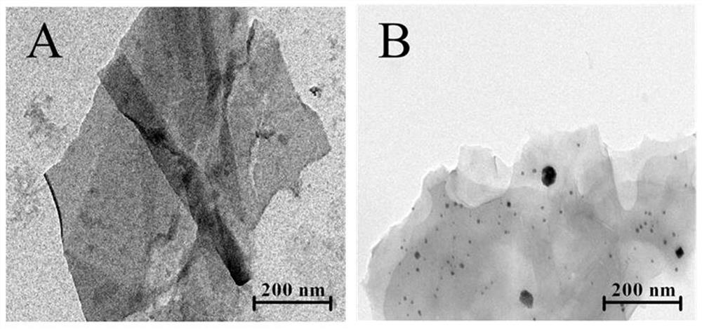 Method for detecting GPC3 based on H-rGO-Pd NPs and Au NPs (at) rGO nanometer materials