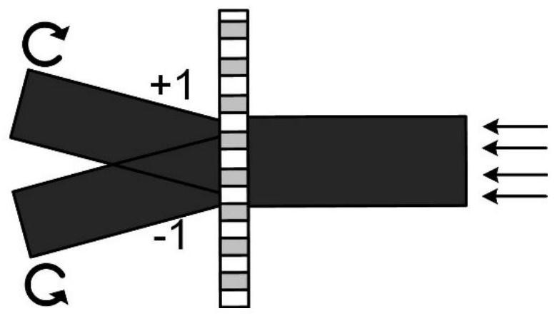 A point-diffraction digital holographic microscope device and method based on polarization grating