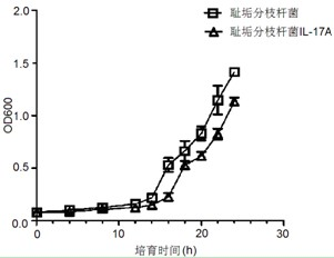 Mycobacterium smegmatis IL-17A and preparation method thereof