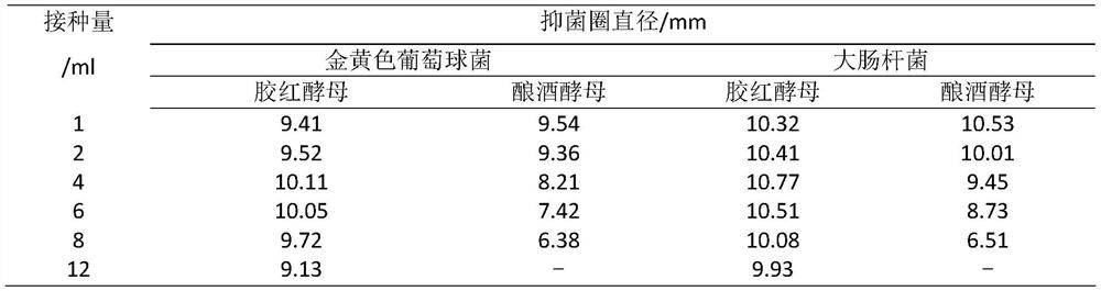 Fructus schisandrae and rhodotorula mucilaginosa fermentation extract as well as preparation method and application thereof