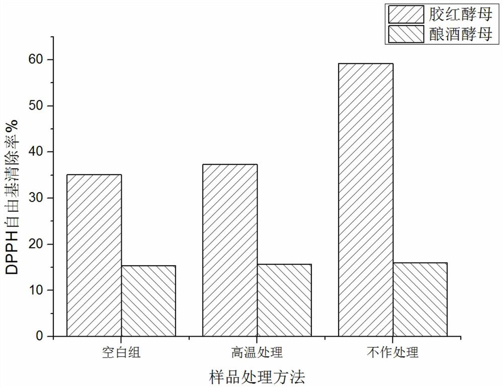 Fructus schisandrae and rhodotorula mucilaginosa fermentation extract as well as preparation method and application thereof