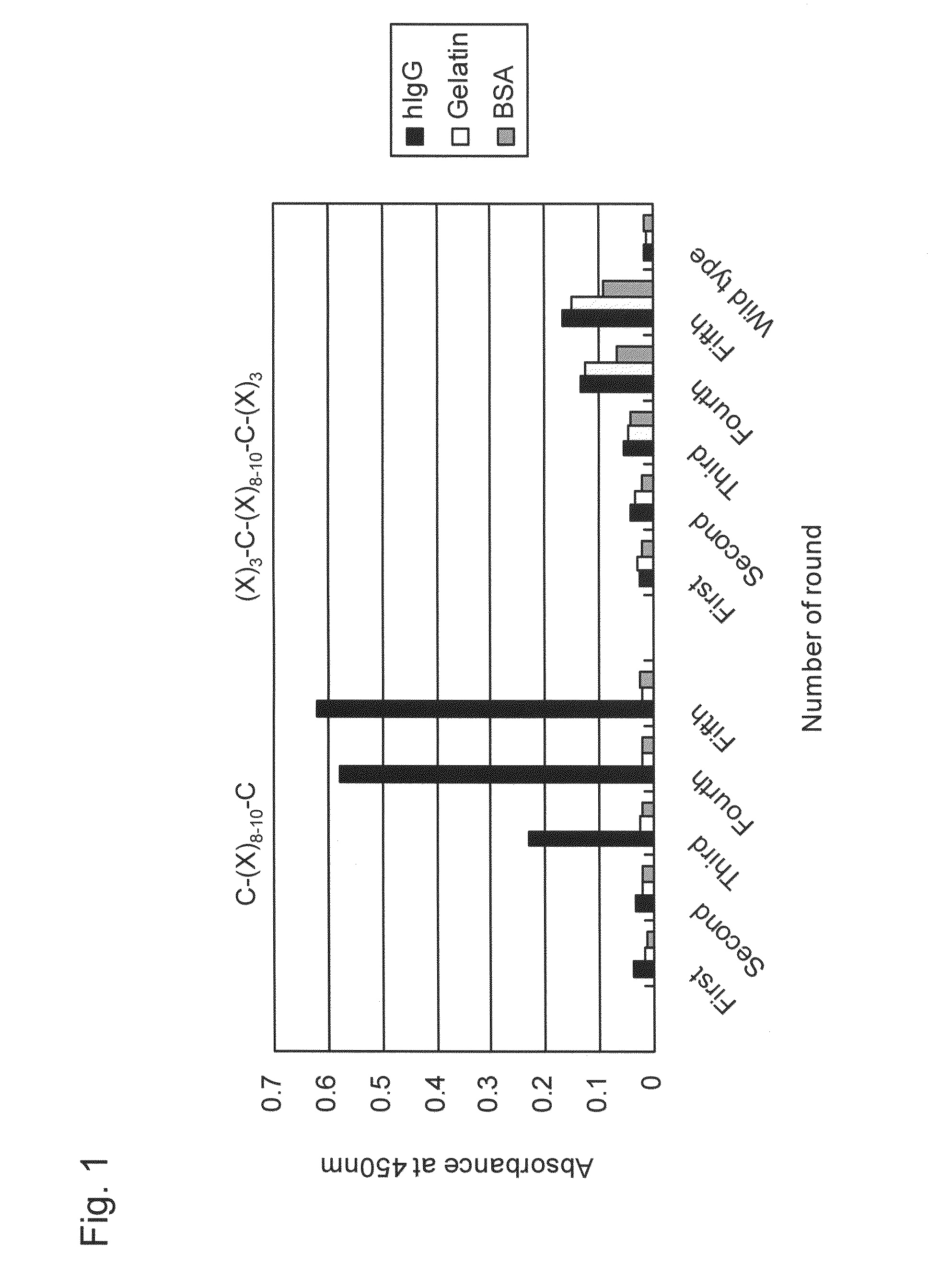 IgG binding peptide