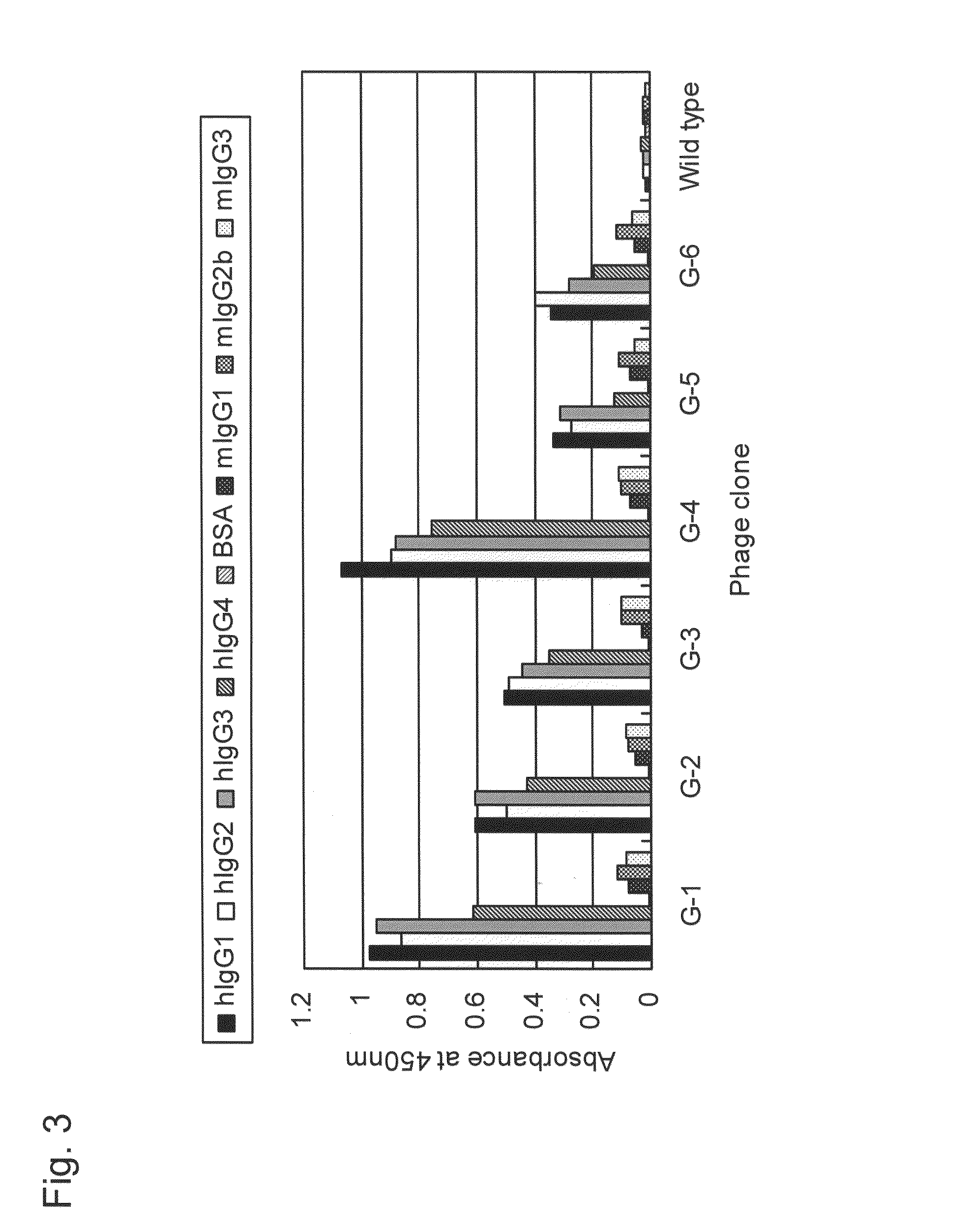 IgG binding peptide