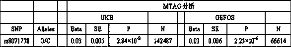 Kit for detecting juvenile osteoporosis based on rs8071778