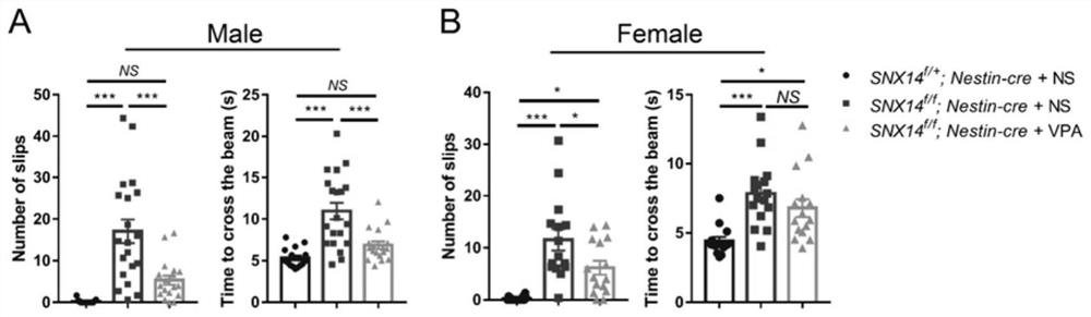 Application of valeric acid derivatives in treatment of hereditary cerebellar ataxia