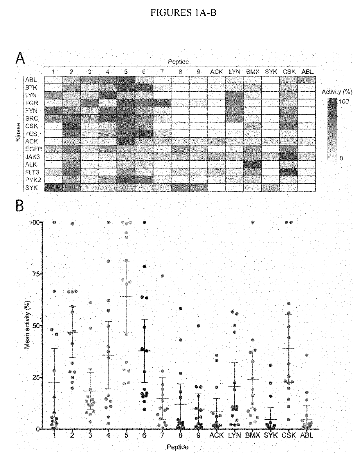 Universal kinase substrates and methods of use thereof