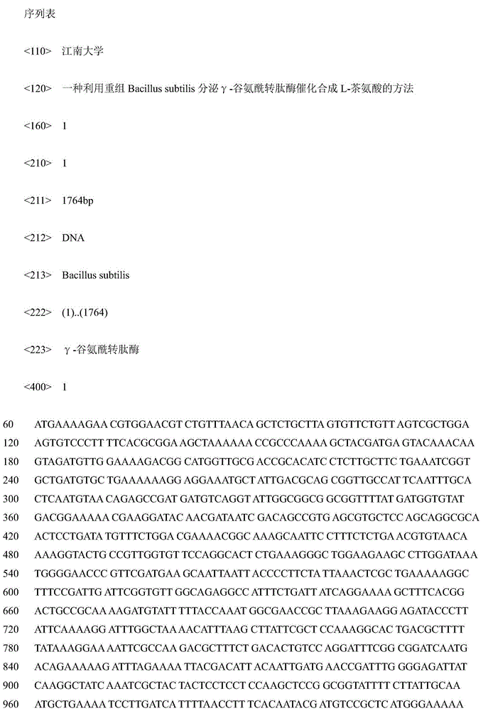 Method for catalyzing to generate L-theanine by using recombinant Bacillus subtilis secreted gamma-glutamyltranspeptidase