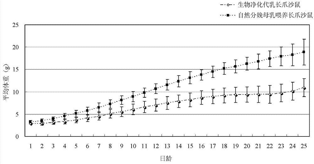 Method for biological purification of Mongolian gerbil