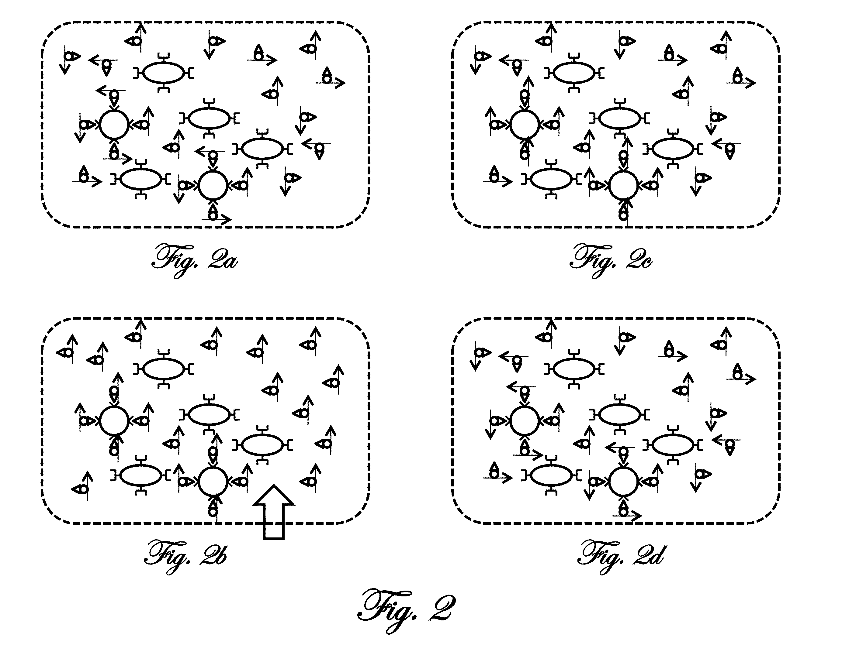 Magnetic relaxometry using magnetization and measurement fields