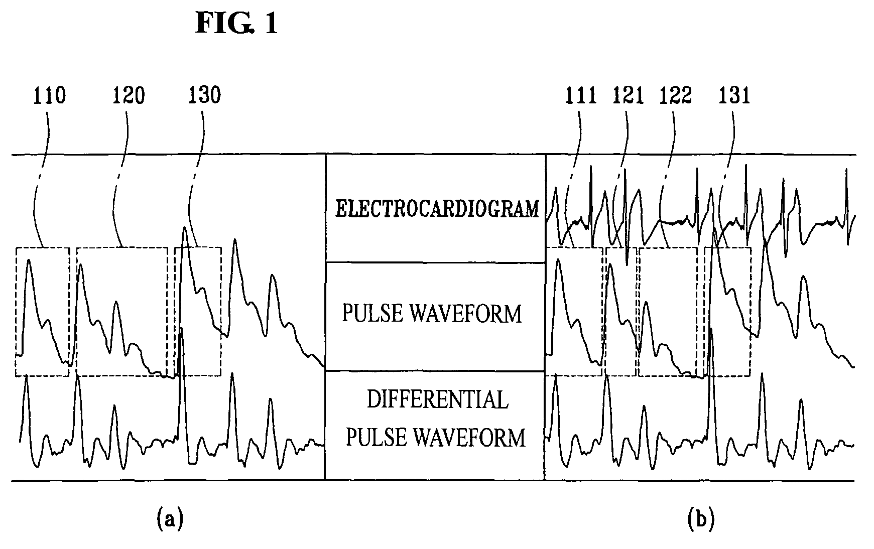 Portable device having biosignal-measuring instrument