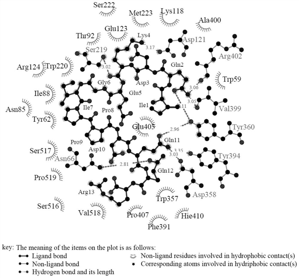 A kind of tea polypeptide with ACE inhibitory activity and its application