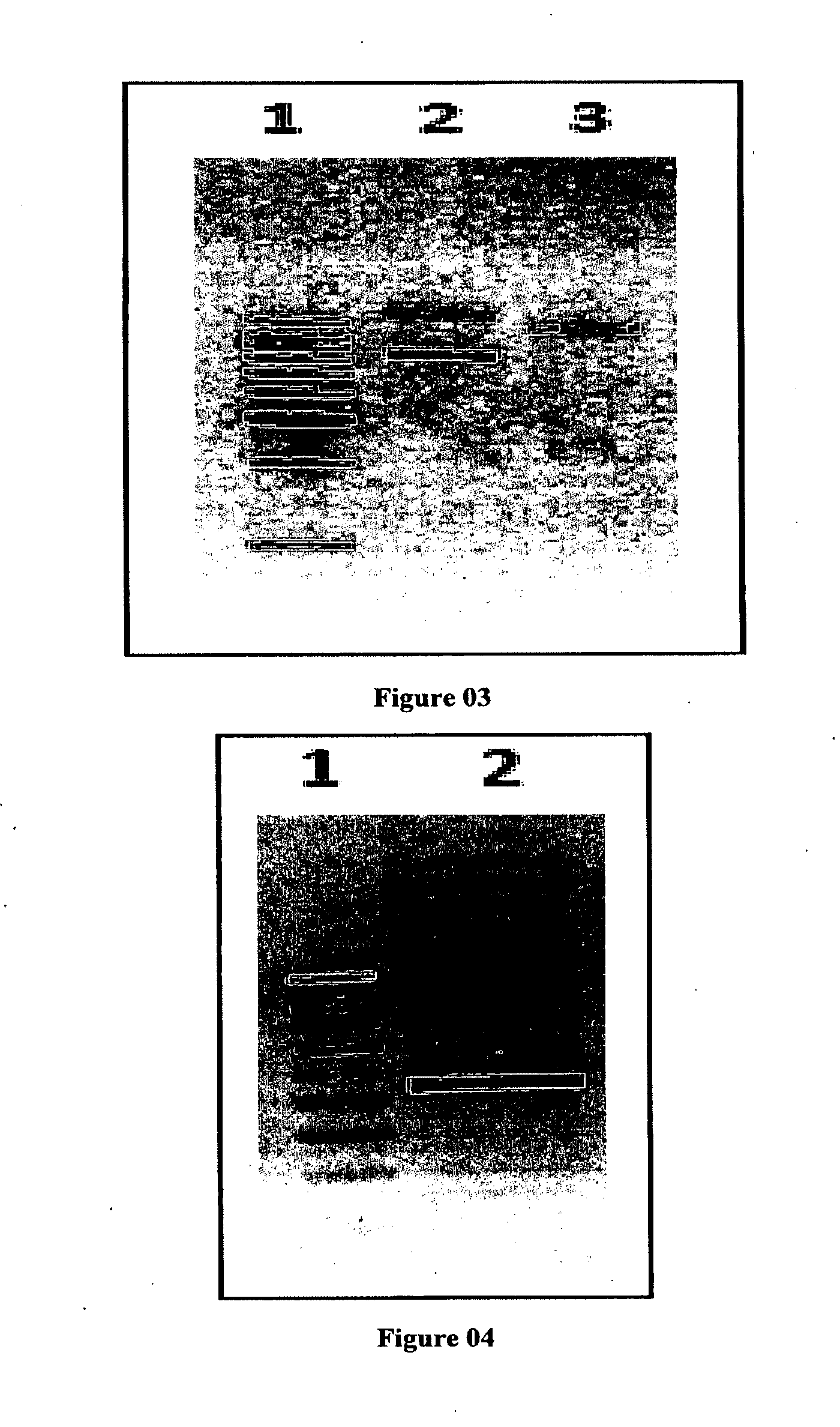 Polynucleotide and polypeptide sequence and methods thereof