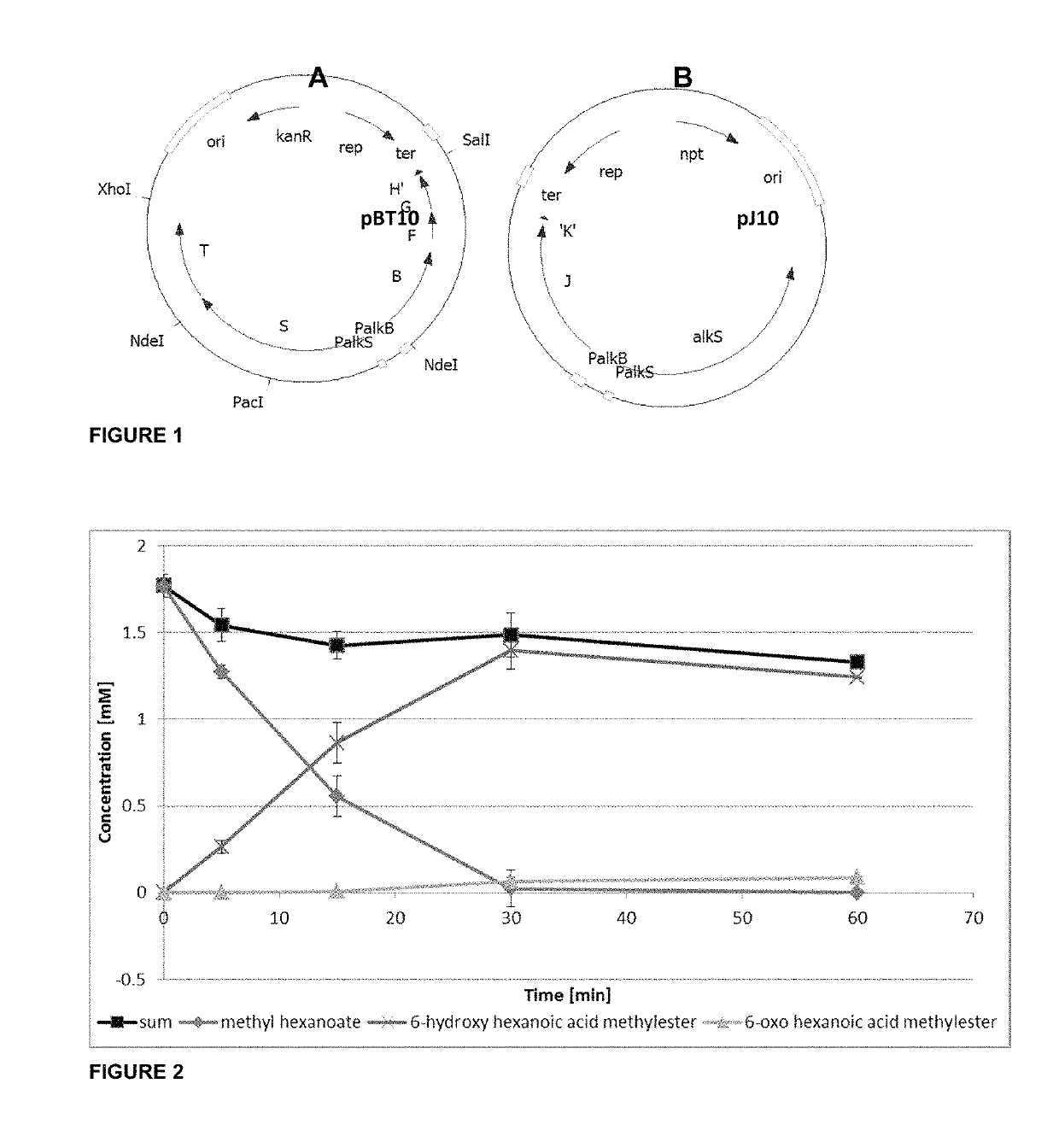 Method of producing nylon