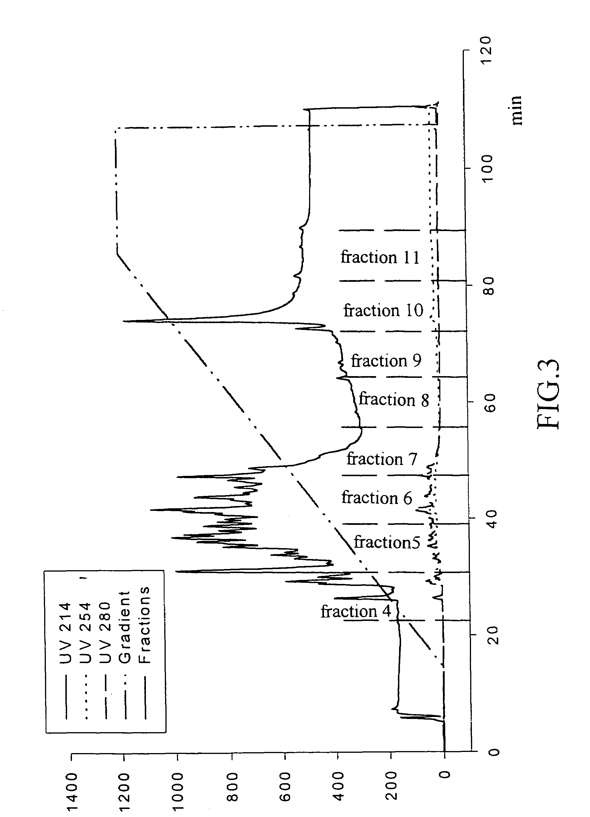 Peptides used as angiotensin converting enzyme inhibitor and preparation process thereof