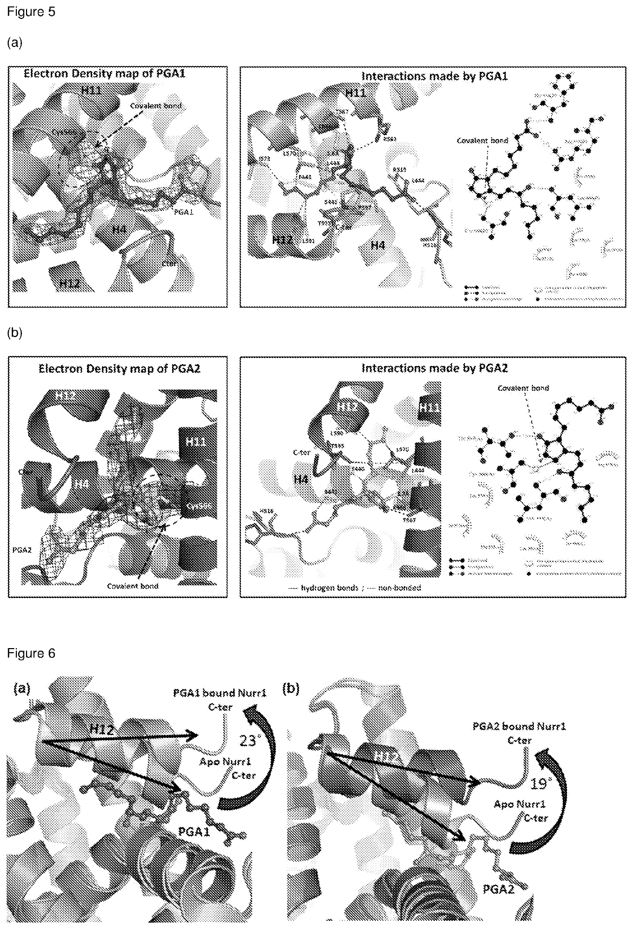 Co-crystals of nurr1-lbd in complex with a cyclopentenone prostaglandin and modulators of nurr1