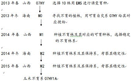 Breeding method of corn sterile line 07HY1A