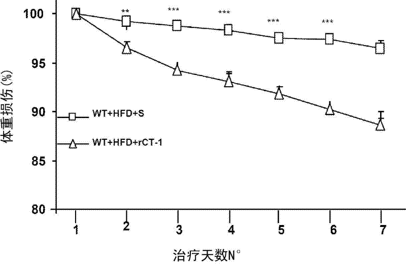 Use of cardiotrophin- 1 for the treatment of metabolic diseases