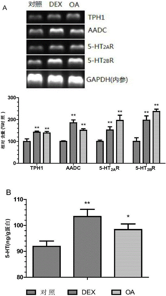 A compound pharmaceutical composition for treating type II diabetes or metabolic syndrome