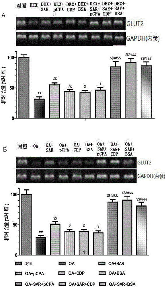 A compound pharmaceutical composition for treating type II diabetes or metabolic syndrome