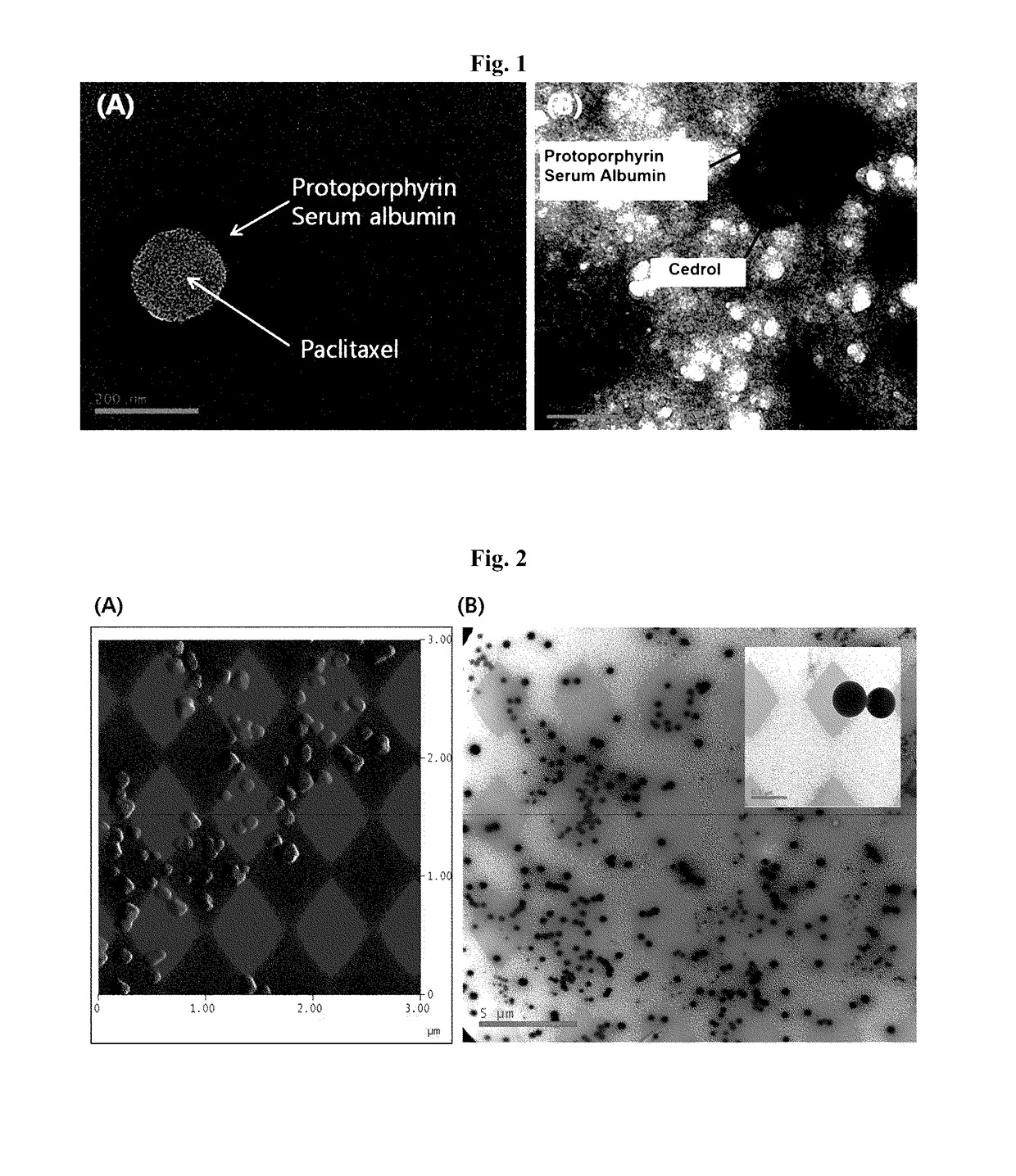 Targeting-enhanced anticancer nanoparticles and preparation methods of same