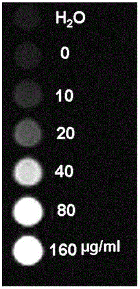 Preparation method of multifunctional probe for tumor thermotherapy as magnetic resonance imaging contrast agent